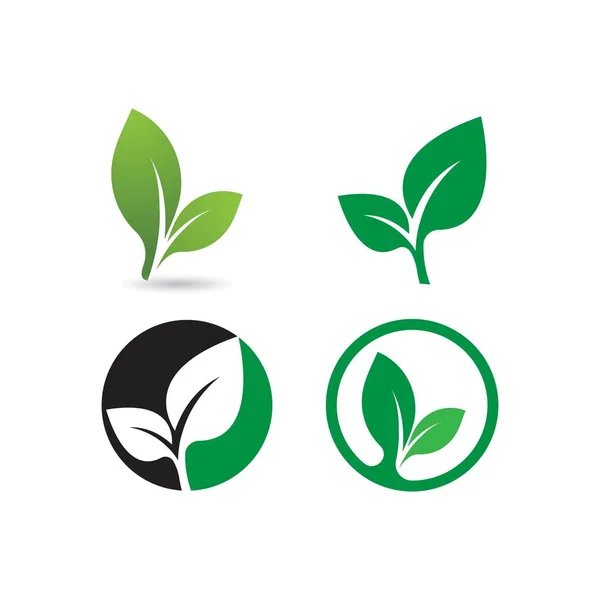 Hoja Verde Logo Ecología Naturaleza Elemento Vector Icono — Vector de stock