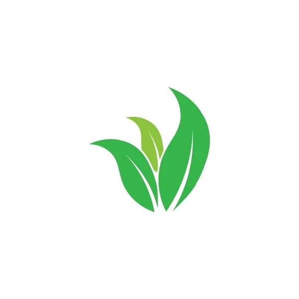 Logo Feuille Verte Écologie Élément Nature Vecteur Icône — Image vectorielle
