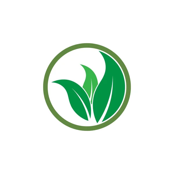 Hoja Verde Logo Ecología Naturaleza Elemento Vector Icono — Vector de stock