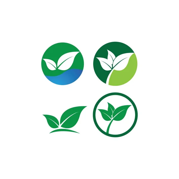 Hoja Verde Logo Ecología Naturaleza Elemento Vector Icono — Vector de stock
