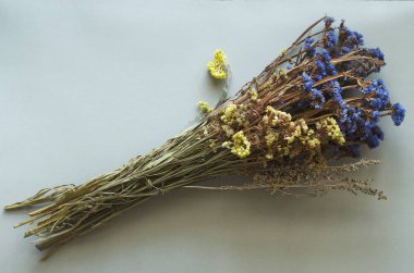 Büyük bir buket kurumuş çiçek mavi ve sarı renkte gri, tarafsız arka planda yatıyor..