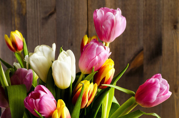 Buds of multi-colored tulips with leaves, on a background of dark wooden boards.