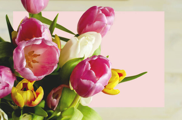 Multicolored tulips in a bouquet with leaves, on a light background.