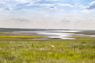 Sonsuz Don Steppe. Nehrin kıyısındaki manzara