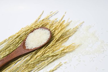 Tahta kaşıkta pirinçten yapılmış pirinçler. Sağlık ya da sağlıklı konsept. Yemek ve yemek malzemeleri. Boşluğu kopyala.