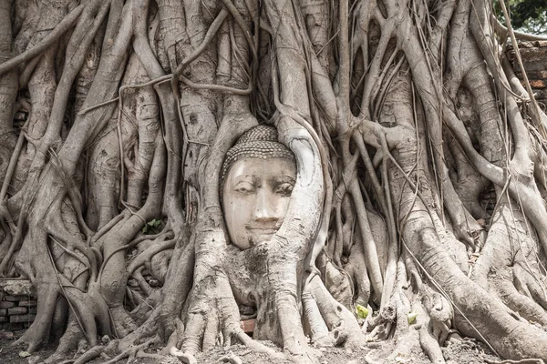 Ayutthaya Buddha Head statue with trapped in the tree roots at History Park.That is the most famous tourist attraction of Thailand.