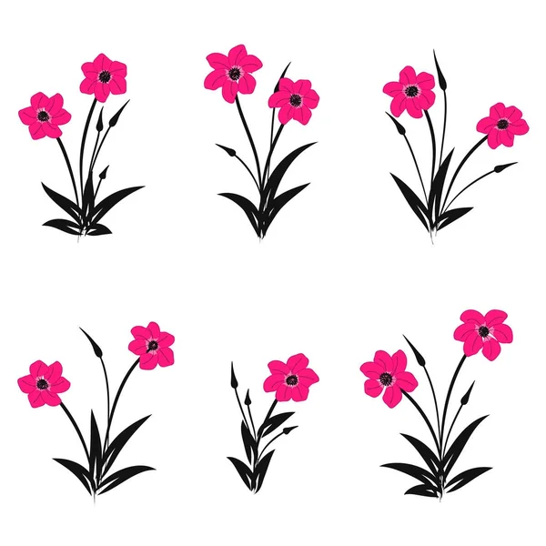 Conjunto de flores rosadas. Ramos de flores rosadas. Flores silvestres silvestres — Archivo Imágenes Vectoriales