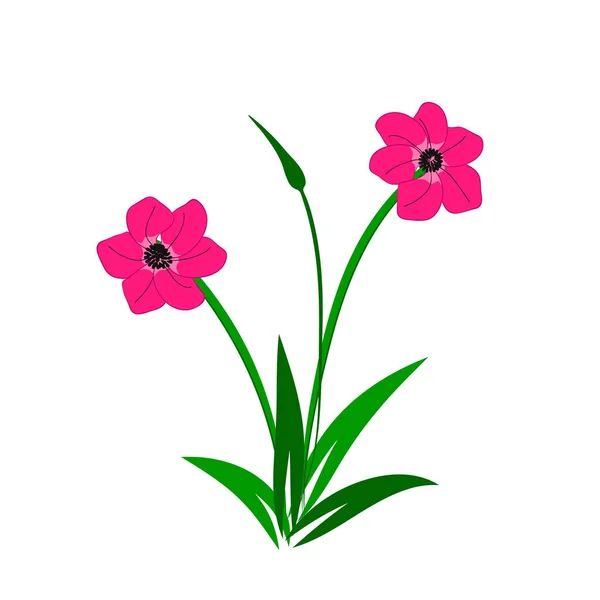 Illustration der wilden rosa Blumen Strauß — Stockvektor