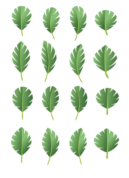 Зелені абстрактні значки листя природного набору на білому тлі. Векторні ілюстрації . — стоковий вектор