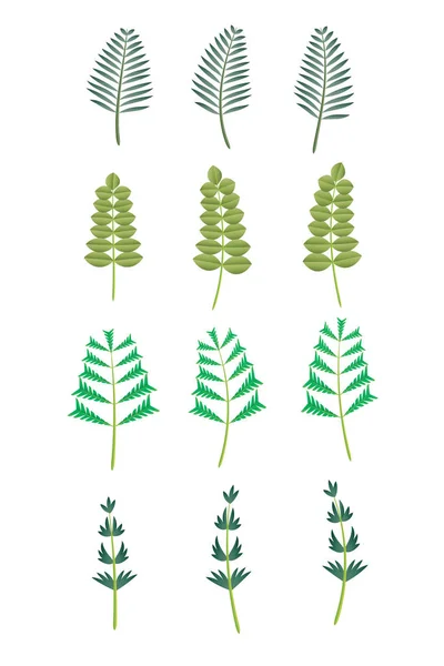 Iconos de hoja abstracta verde conjunto natural sobre fondo blanco. Ilustración vectorial . — Archivo Imágenes Vectoriales