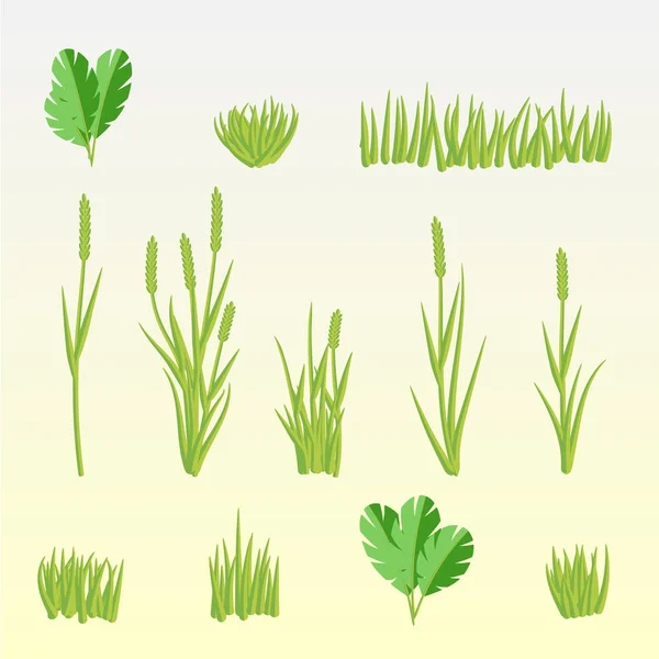 Green grass set vector — Stock Vector