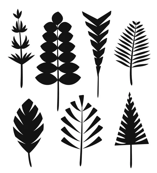 Die Silhouette Blätter Der Bäume Und Gras Vektor — Stockvektor