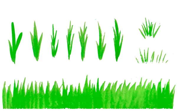 Рука Намальована Акварельна Трава Ізольована Білому Тлі Ескіз Світло Зелений — стоковий вектор