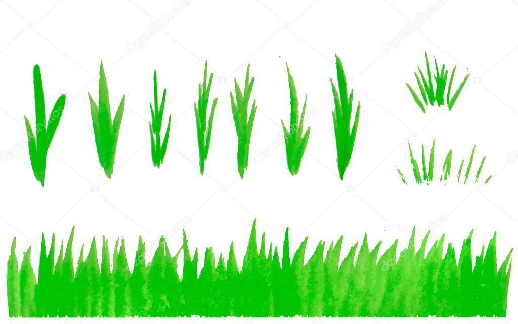Hand drawn watercolor grass set isolated on white background. Sketch Light green watercolor grass pattern. Abstract grass. Spring fresh kit.