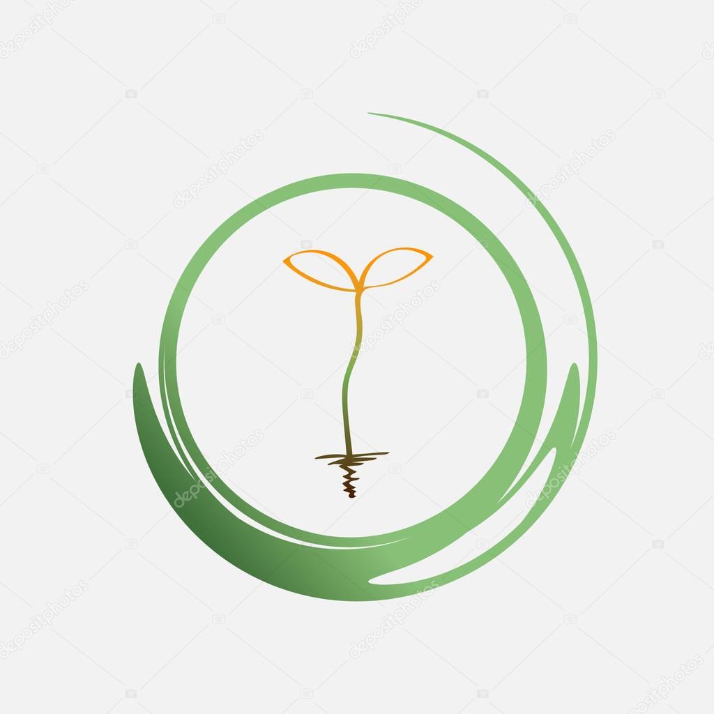 Young green sprout drawing with one line. Blade of grass in a green circle frame