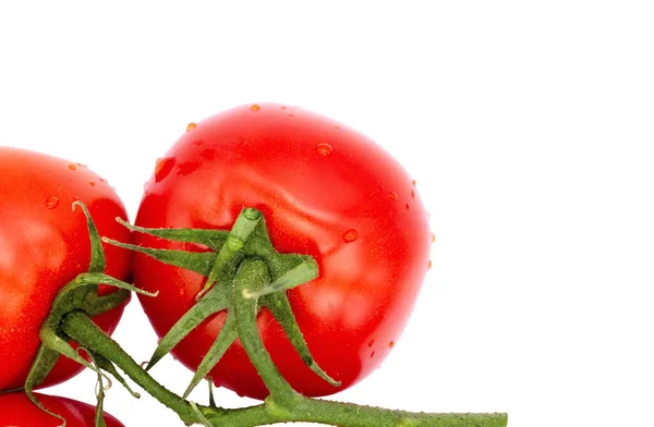 Tomates sur la branche verte. La vue d'en haut . — Photo