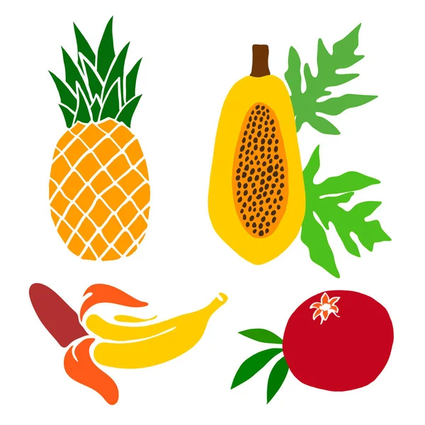 Sada malovaných plodů. Ananas, granátové jablko a papája, banán. Vektor — Stockový vektor