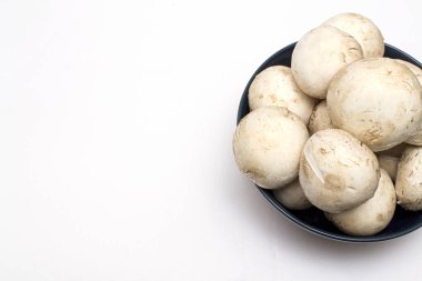 Beyaz izole bir zemin üzerinde taze şampiyonlar. Yazmak için boş alan var.