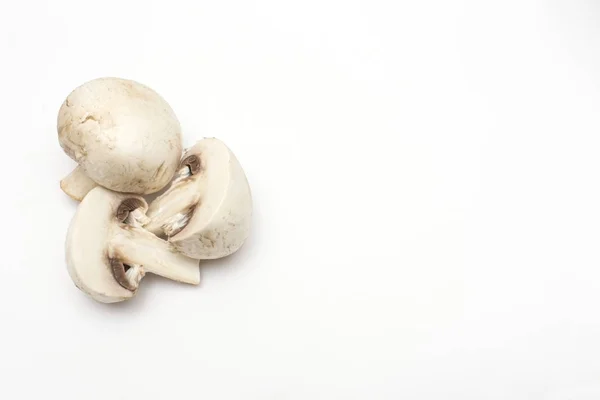 Verse Champignons Een Geïsoleerde Witte Achtergrond Een Plek Voor Kopie — Stockfoto