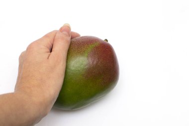 Beyaz bir arkaplanda beyaz bir el ve yazmak için yeri olan olgun bir mango.
