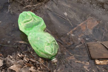 Boş bir plastik yeşil şişe suda yüzer. Plastik ile çevre kirliliği.