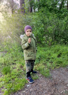 Yeşil ceketli ve mor şapkalı bir çocuk akşam yeşil bir parkta gezinirken beyaz bir çiçeği kokluyor.