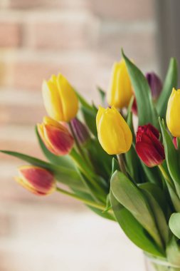 Penceredeki vazoda sarı ve kırmızı laleler..