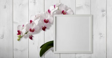 Resminiz için beyaz çerçeve ya da üzerinde orkide dalı olan hafif bir tahta arka plan. Kopyalama alanı ile