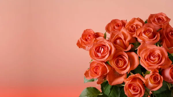 Festive blurred red background with a bouquet of gorgeous coral roses. Copy spaces for your text