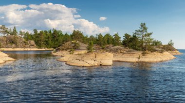 Ladoga Doğa Parkı, Karelia, Rusya. Honkasalo Adası, Ağustos.