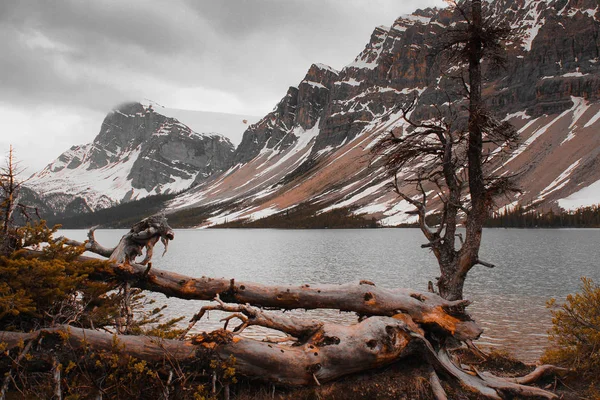 Lago arco en Banff Canadá —  Fotos de Stock