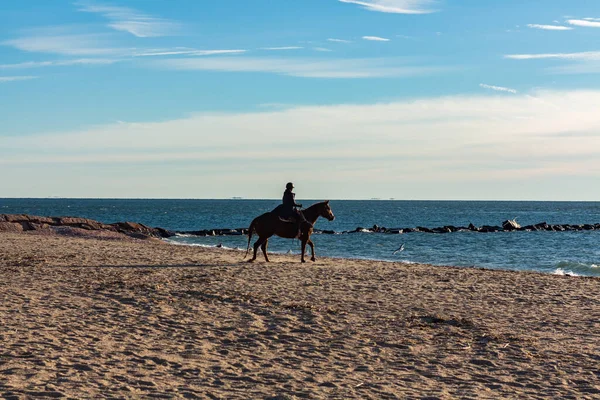 Horse Being Ridden Beach Girl Day — Stock Photo, Image