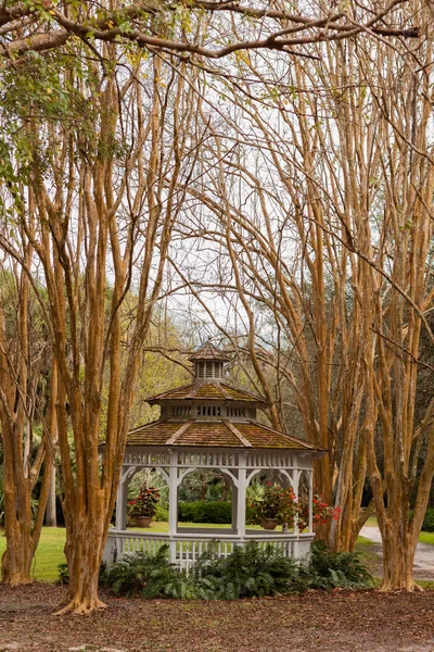 Rustykalna Chata Ślubna Świeżym Powietrzu Pokryta Gałęziami Drzew — Zdjęcie stockowe