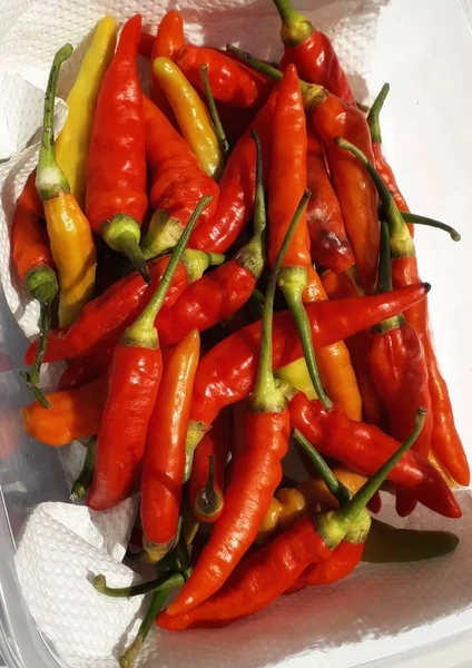 Kolekcja Świeżych Czerwonych Chili Dobre Dla Ustawień Sklepów Warzywnych Więcej — Zdjęcie stockowe