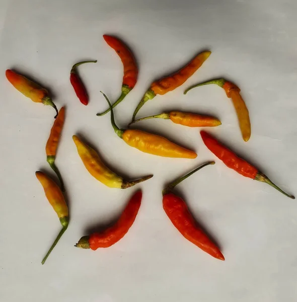 Διάφορα Chilies Λευκό Φόντο Καλό Για Τις Ρυθμίσεις Καταστήματα Λαχανικών — Φωτογραφία Αρχείου