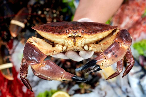 Vendedor apresentando um caranguejo na loja de peixe — Fotografia de Stock