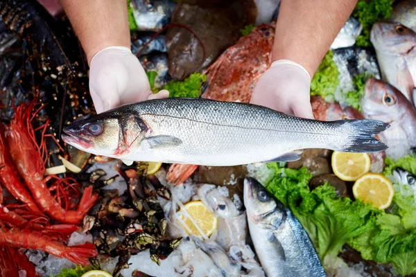 Seller presenting a fresh sea bass fish in fish store — Stock Photo, Image