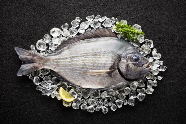 Peixe sargo espanhol fresco (sargo) no gelo sobre uma mesa de pedra preta — Fotografia de Stock