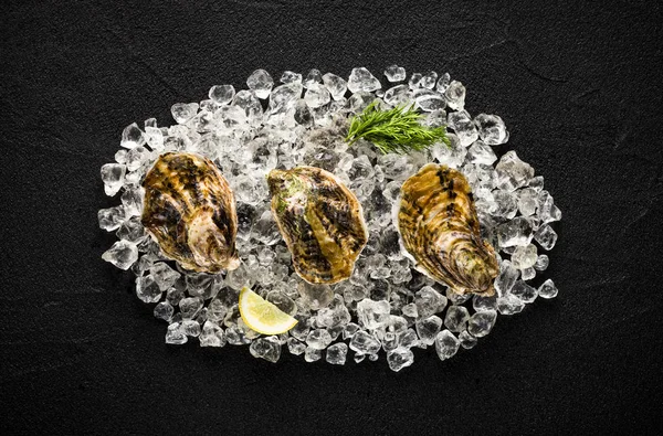 Fresh oysters on a black stone table top view — Stock Photo, Image