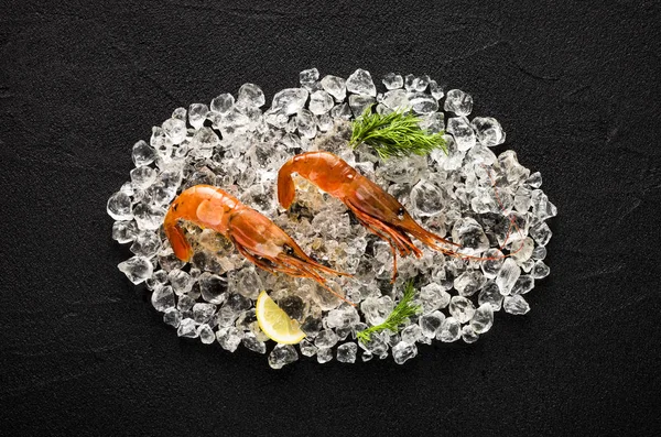 Fresh wild alaskan shrimps on ice on a black stone table top vie — Stock Photo, Image