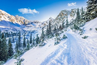 Siyah su birikintisi Gasienicowy iz, Tatra mountans, Polonya