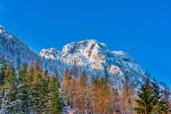 Гору пік від Pisana Поляна, Koscieliska Долина зими, Tatr — стокове фото
