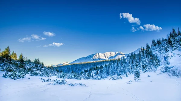 Tatra 산 겨울, 폴란드에에서 눈 덮인 봉우리 — 스톡 사진