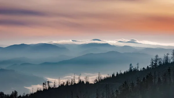 Neblige Sonnenaufgangslandschaft vom Luban-Gipfel im Gorce-Gebirge, Polen — Stockfoto