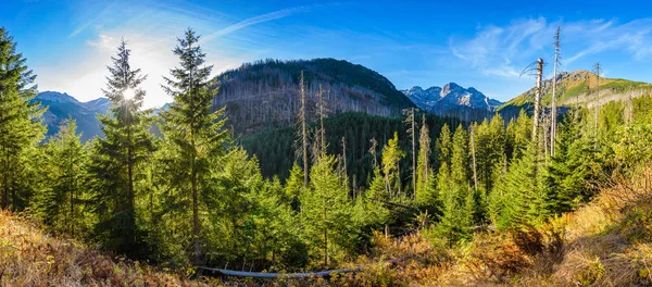 Panoráma útról Morskie Oko-Tátra, Lengyelország — Stock Fotó