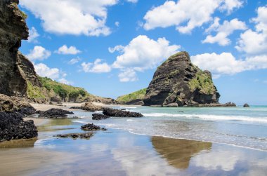 Auckland, Yeni Zelanda Batı sahilinde yer almaktadır Piha beach.