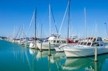 Westhaven Marina biridir en büyük yat limanına Auckland, Yeni Zelanda.