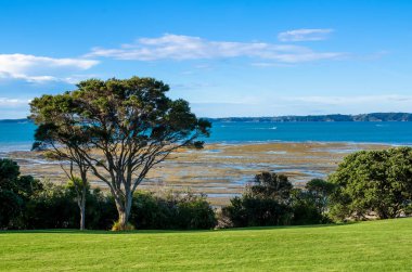 Omana Bölge Parkı Auckland, Yeni Zelanda.