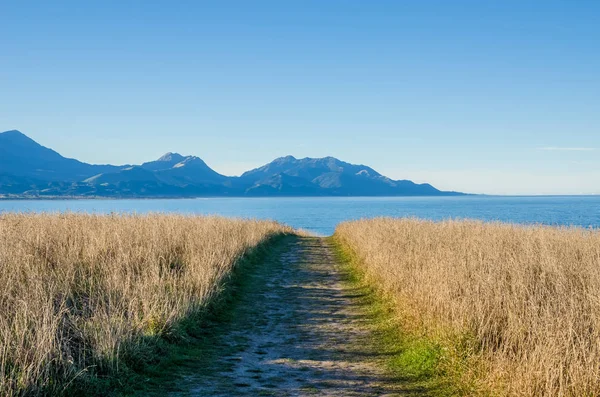 Pfad am Punkt kean Aussichtspunkt, kaikoura Neuseeland. — Stockfoto