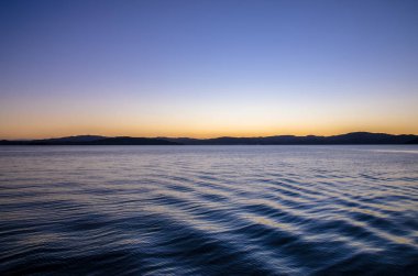 Bulunan Sunshine Bay Wellington Harbour, Yeni Zelanda.